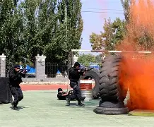 鏖战五局，苍狼突击终于血洗全场，操作拉满