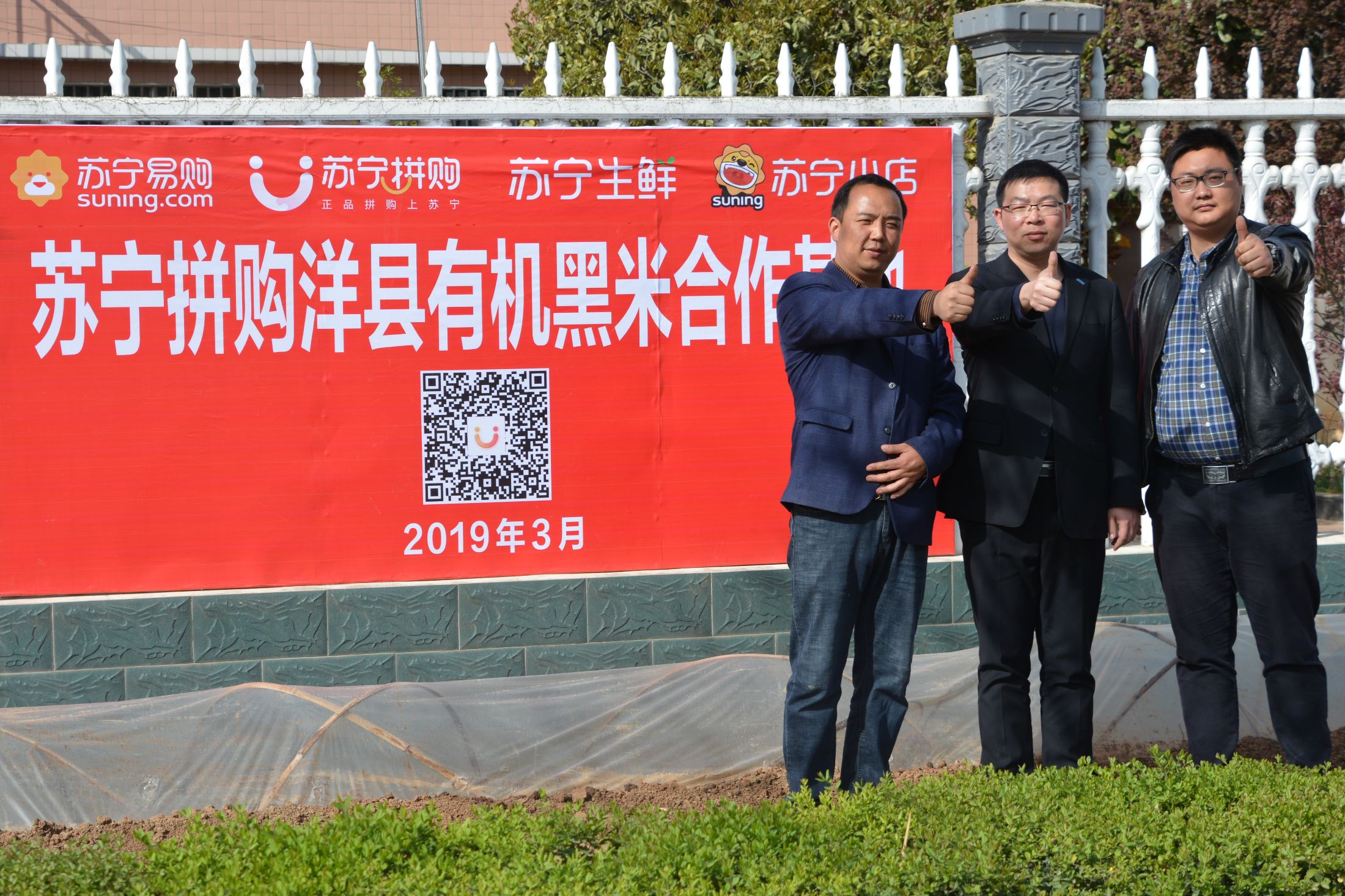 苏宁主场告捷，积分保持稳定