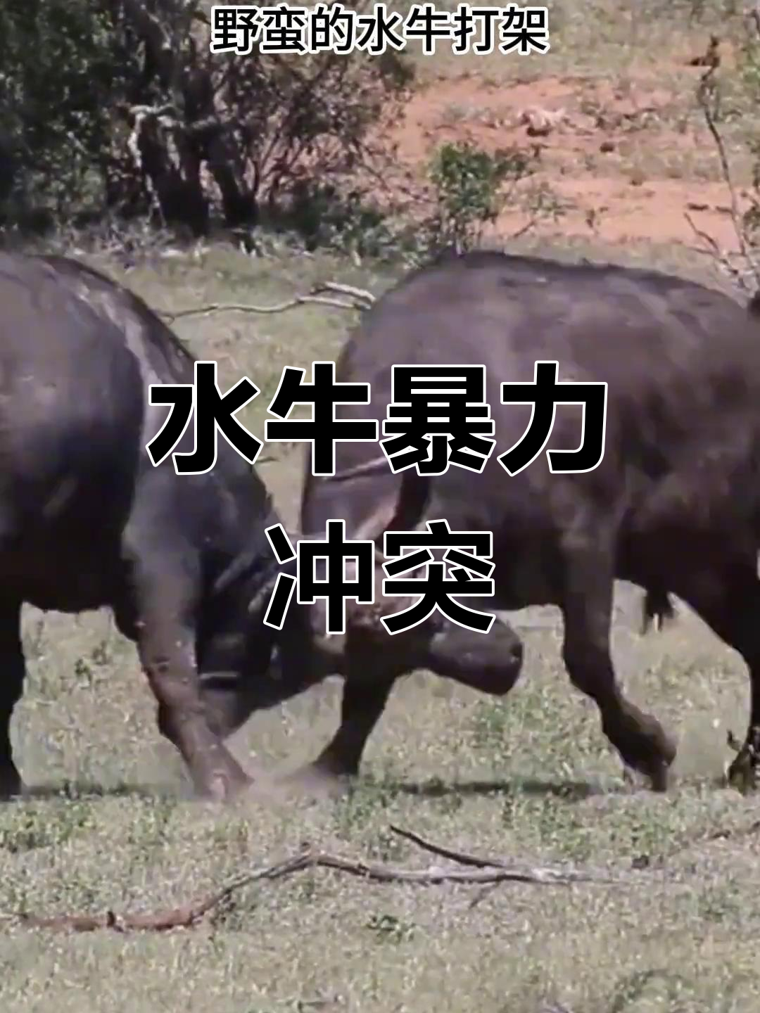mk体育-一触即发！两队将上演激烈对决