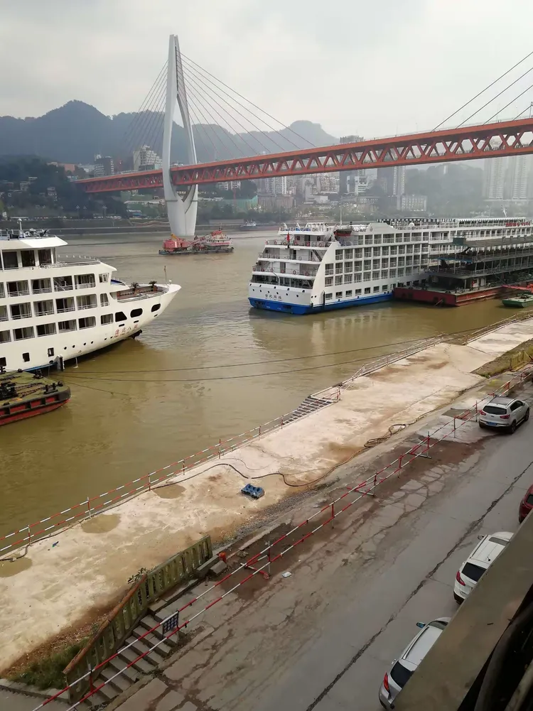 mk体育-重庆奥运战胜上海海南，获得重要身份提升